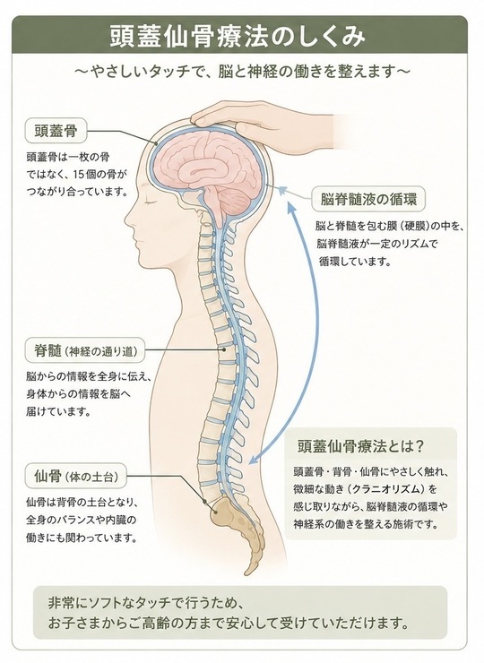千葉市で頭蓋仙骨療法なら｜自律神経を整える ゆうわ整体